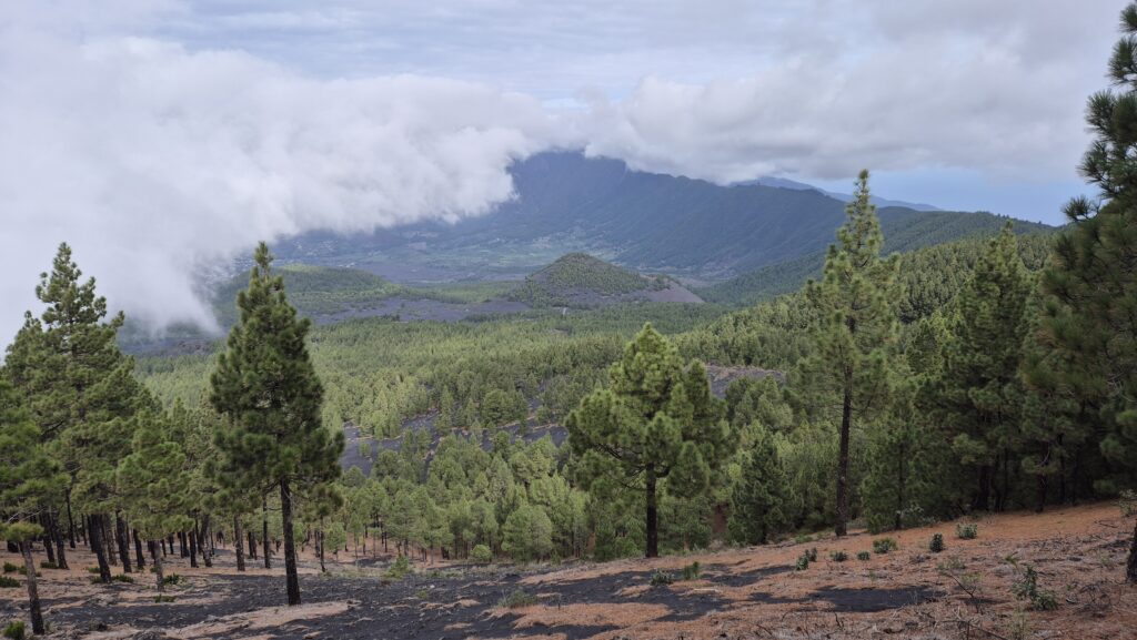 Vulkanisch_landschap_La_Palma