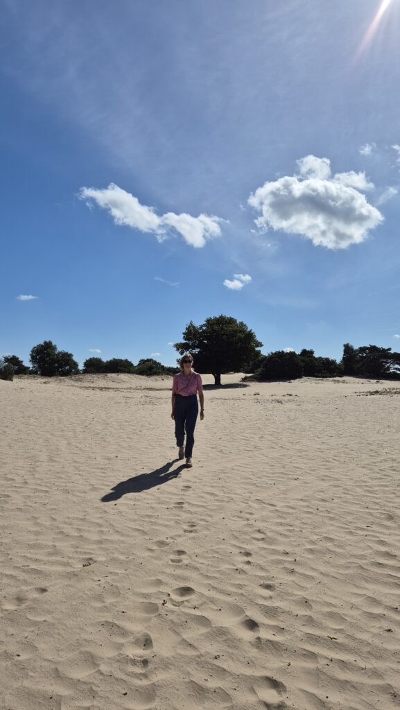 Stuifduinen_Drents_Friese_Wold