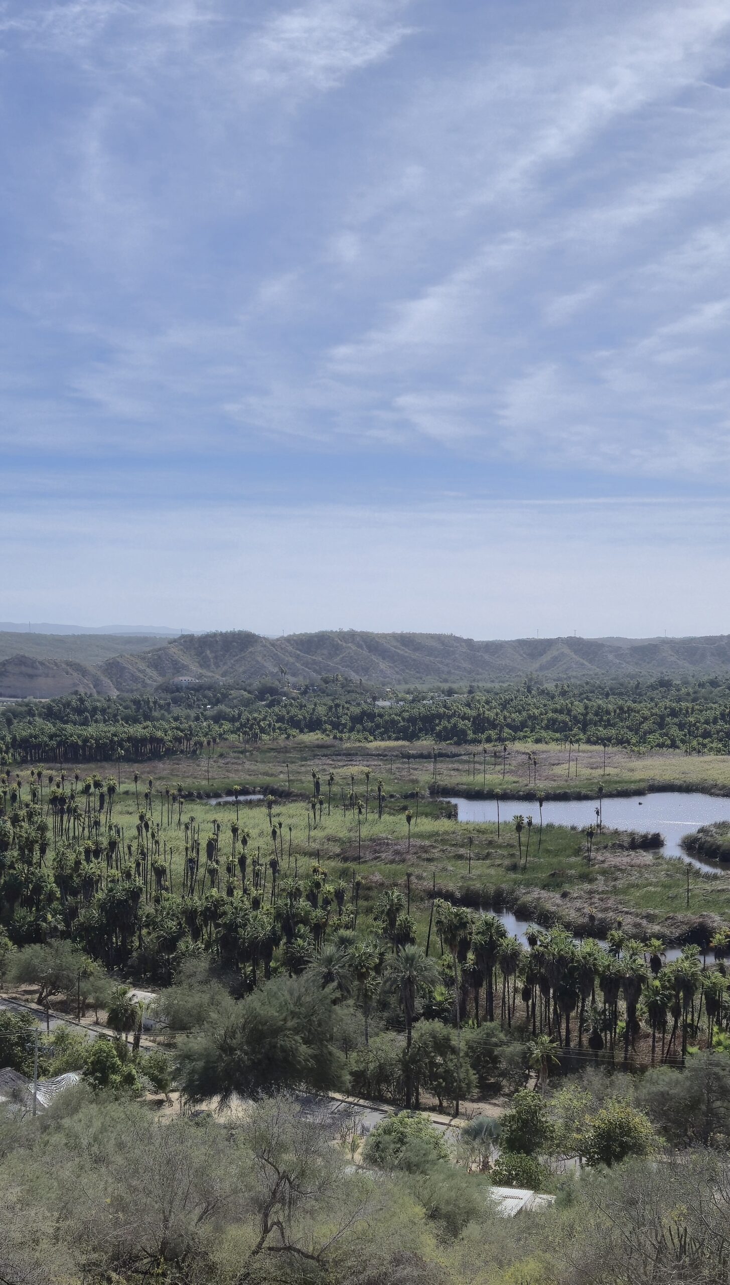 Oase_palmbomen_Santiago_Hoogtepunten_Baja_California