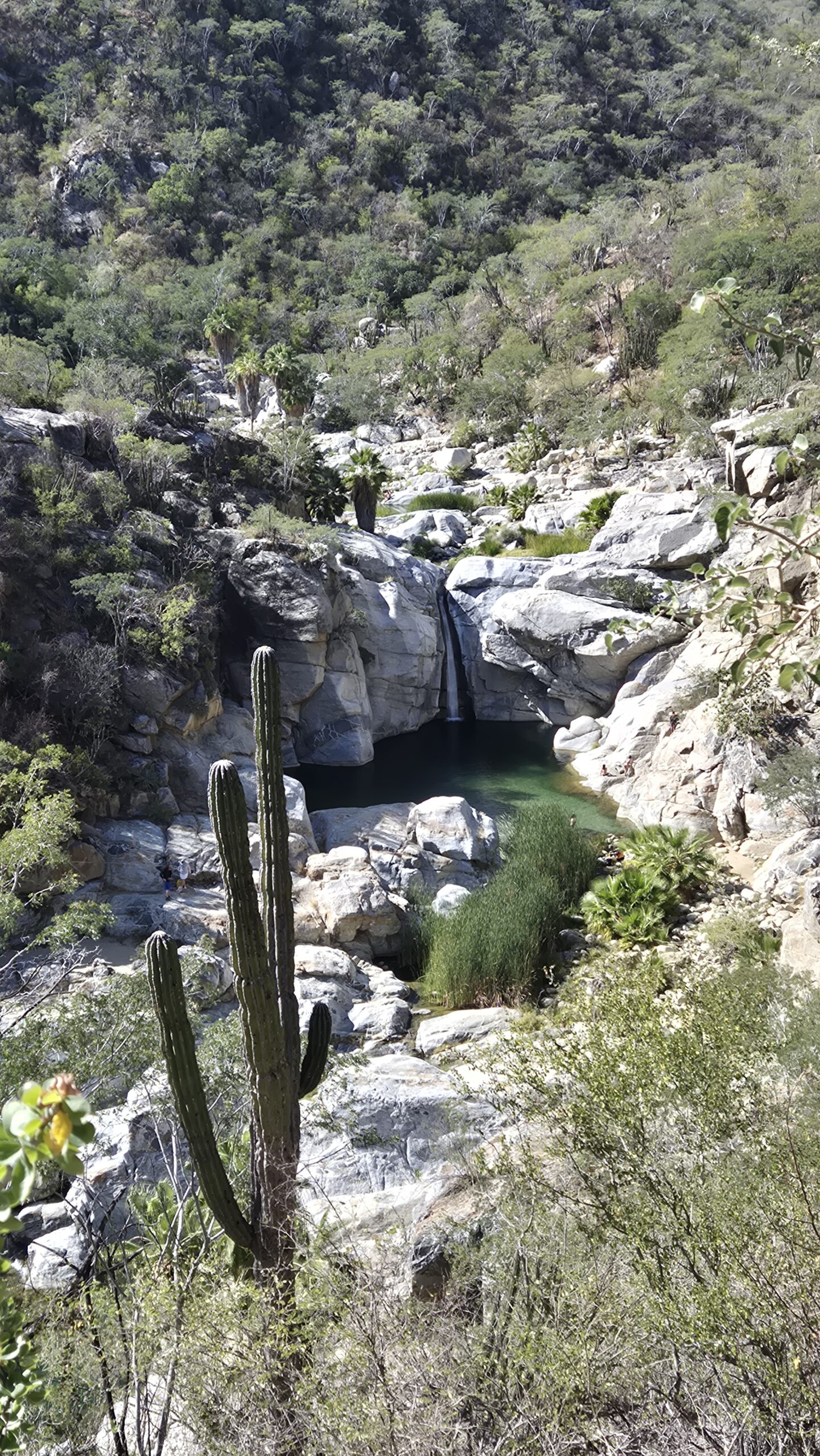 Waterval en cactus_canon de la Zorra_Hoogtepunten_Baja_California