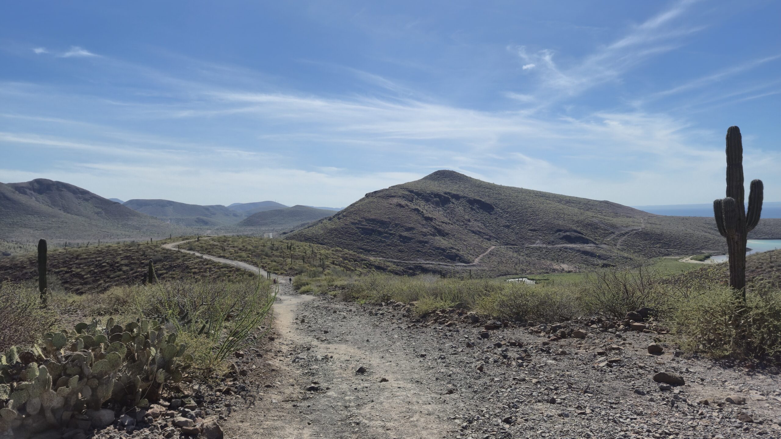 Cactuslandschap_onderweg_Playa_Balandra
